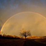 amazingpicture0