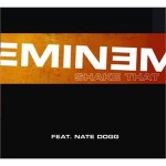 Eminem Nate Dogg Shake That